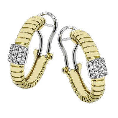 Hoop Earrings
