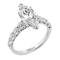 Picture of WCE-11480