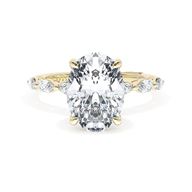 Picture of WCE-11458