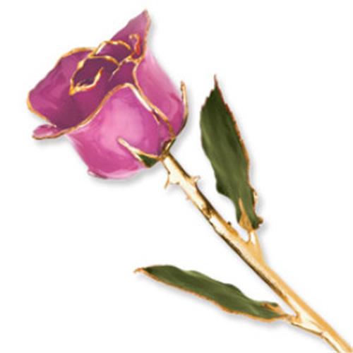 Picture of Amethyst Pink Gold Rose