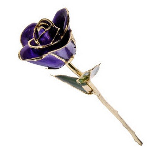 Picture of Purple Rose
