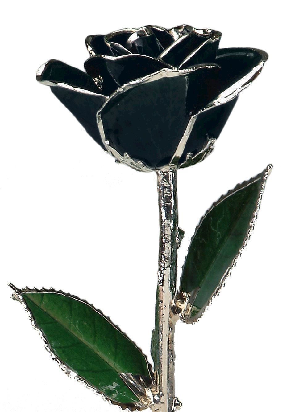 https://www.arthursjewelers.com/content/images/thumbs/Original/platinum-black-rose_1-19362232.jpeg