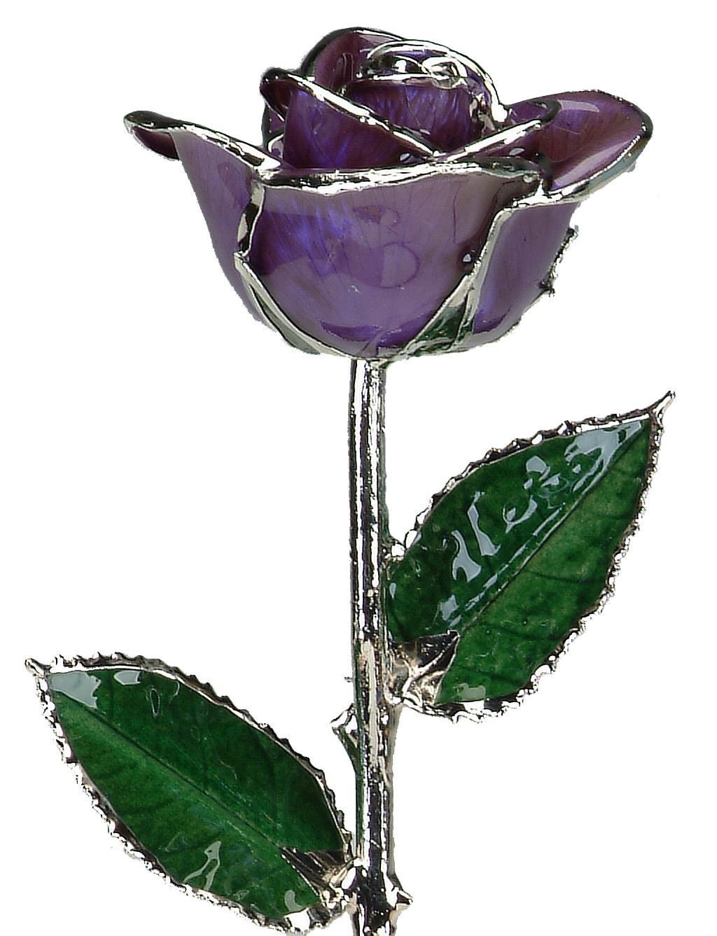 https://www.arthursjewelers.com/content/images/thumbs/Original/platinum-lilac-rose_1-19362236.jpeg