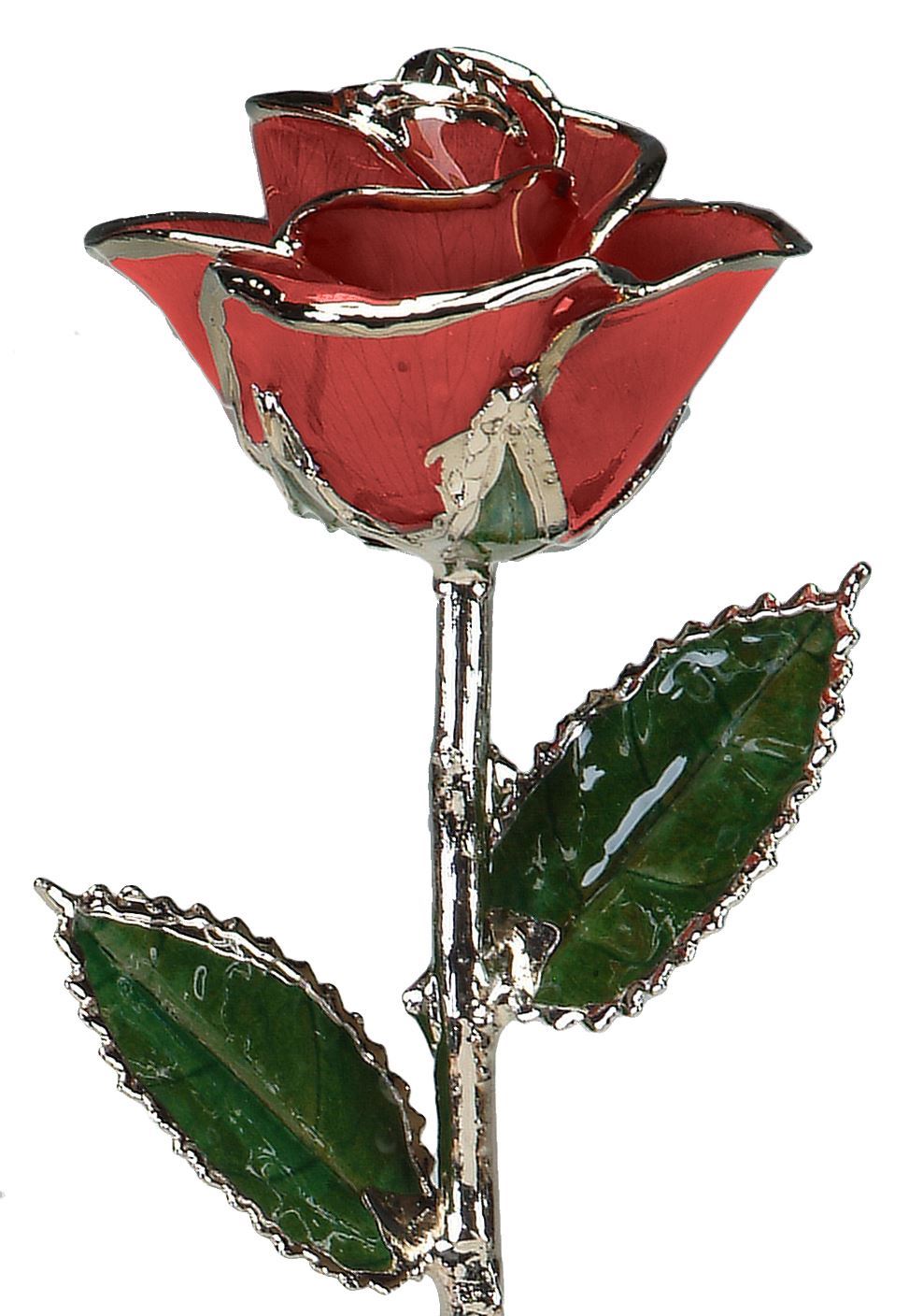 https://www.arthursjewelers.com/content/images/thumbs/Original/platinum-red-rose_1-19362240.jpeg