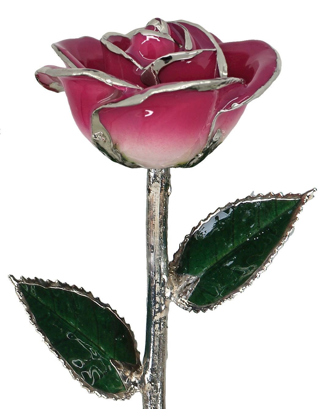 https://www.arthursjewelers.com/content/images/thumbs/Original/platinum-white-pink-rose_1-19362244.jpeg