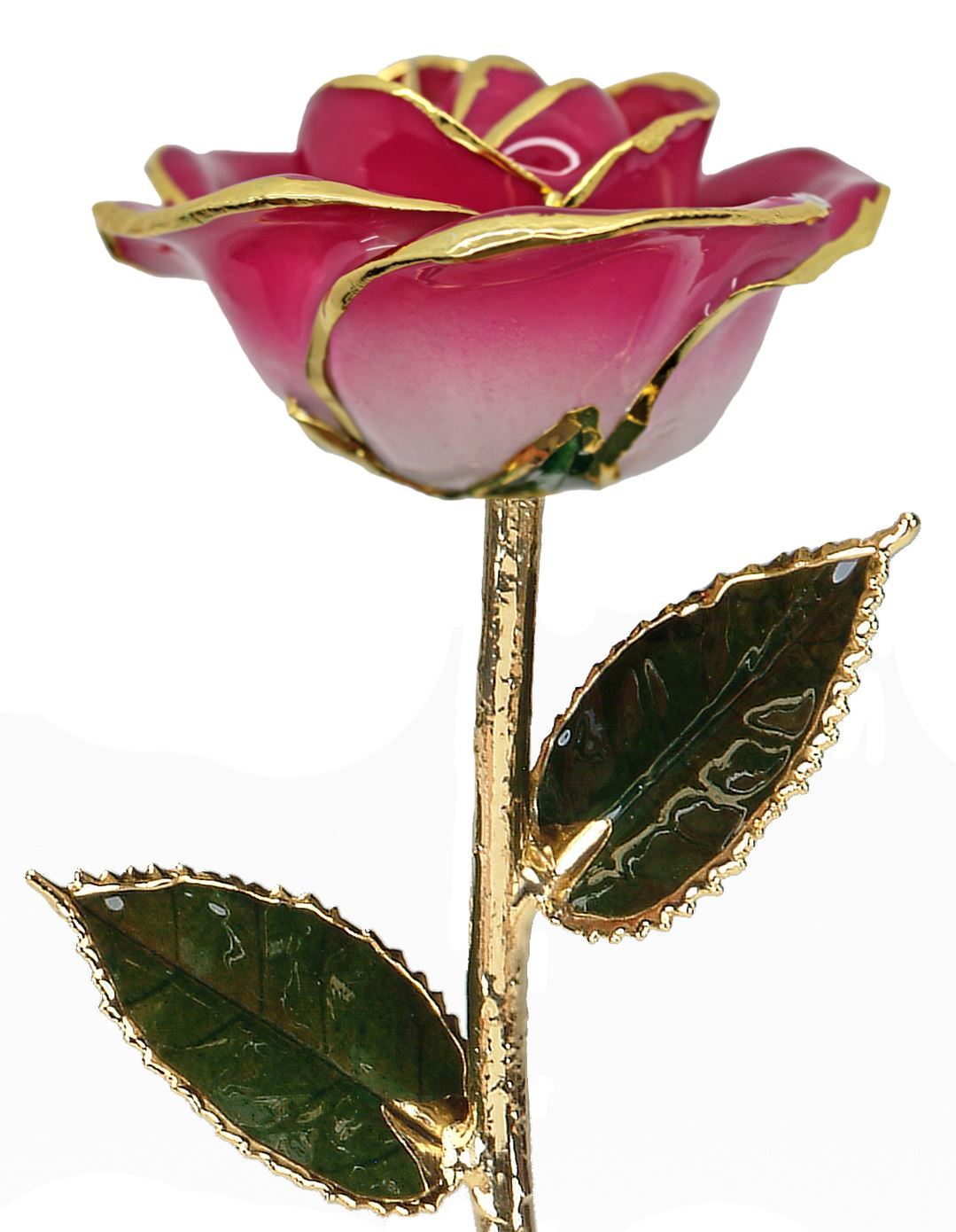 https://www.arthursjewelers.com/content/images/thumbs/Original/white-pink-rose_1-19361800.jpeg