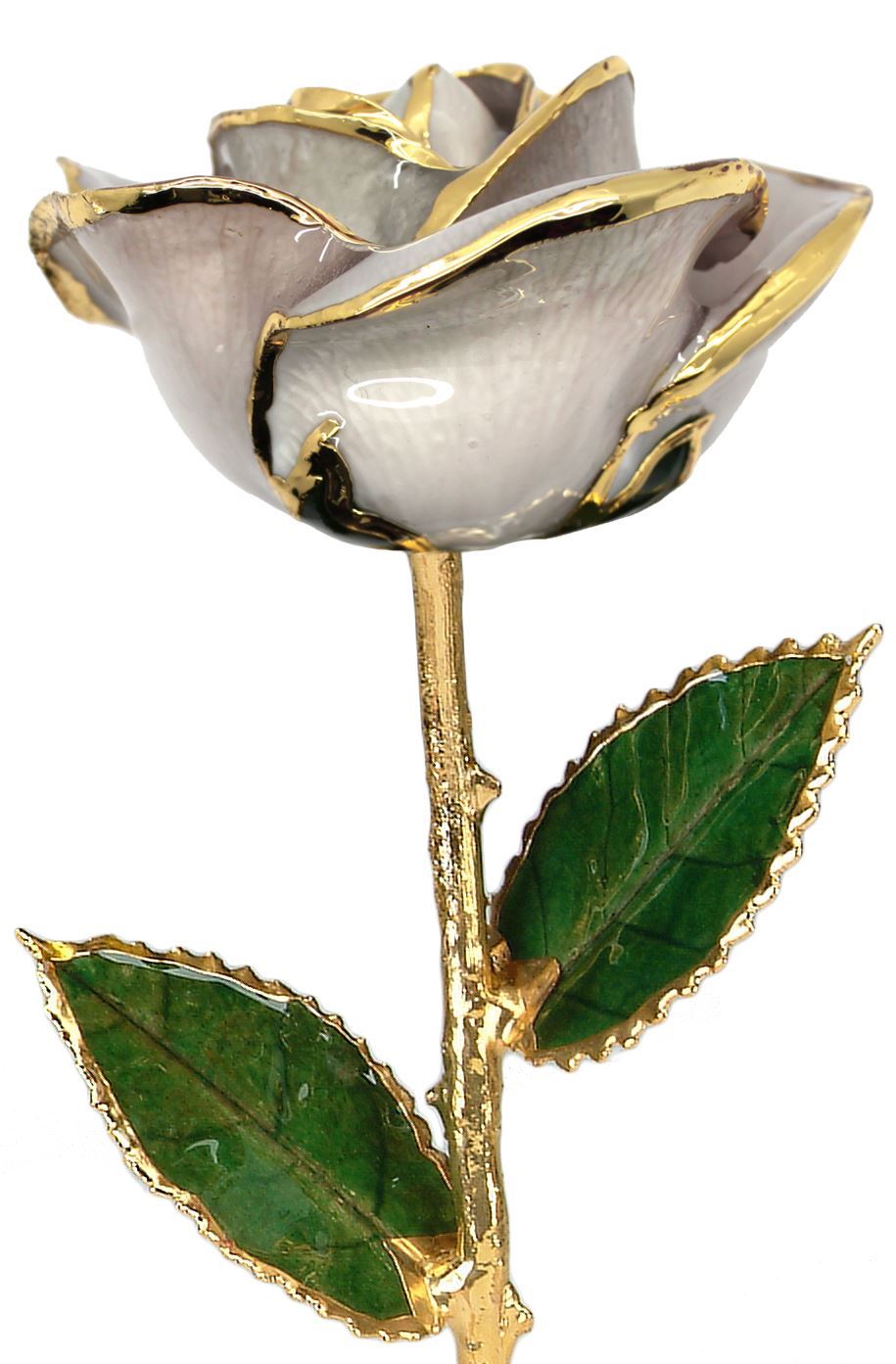 https://www.arthursjewelers.com/content/images/thumbs/Original/white-rose_1-19361801.jpeg